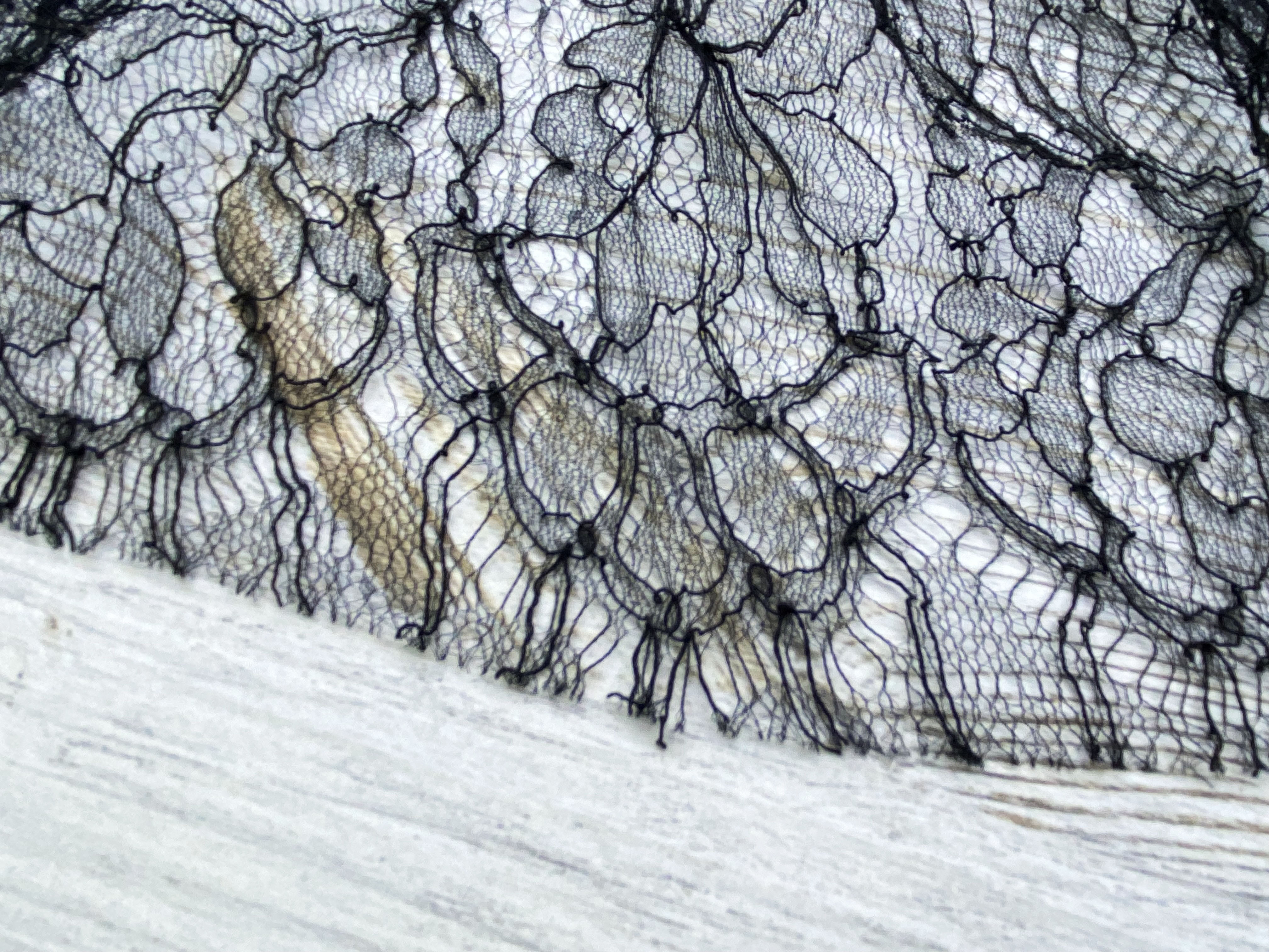 Кружево  Solstiss 45059 3