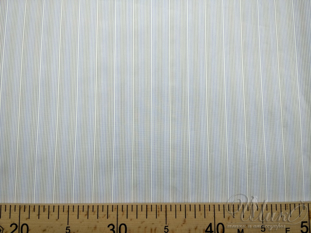 Ткань Хлопок       36805 3